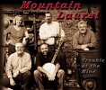 Mountain Laurel Band